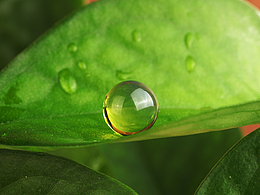 飾品配件/藍(lán)珀單珠-原圖