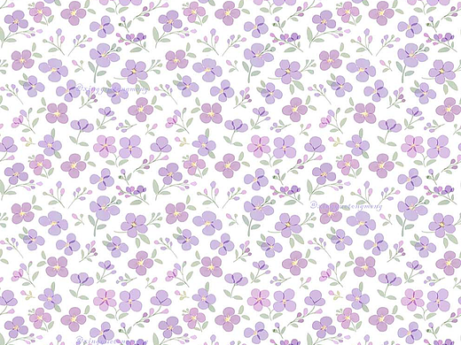 薰衣草 丁香 鸢尾 紫罗兰|图案设计
