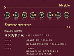 Drizzle个人简历