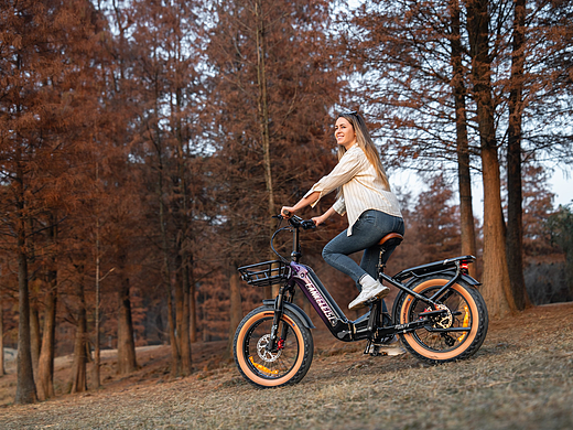 2026 蓝克雷斯GOLF电动自行车广告视频