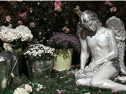 “銀翼沉于花霧，時(shí)光在此輕眠”