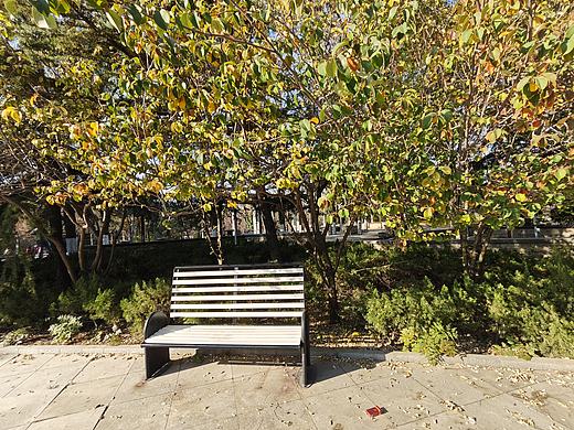 深秋的公園（個人主頁-ZNzMzNTc0NDg=） - 風光攝影 - 站酷設計師Z861826338原創(chuàng)素材 - 站酷ZCOOL