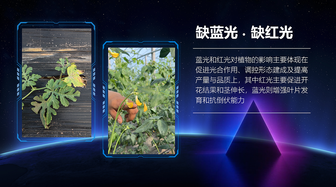 智慧农业产品说明书动效PPT设计（四）-[KENVISION]（图ZNDA0NTkxOTAw） - PPT/Keynote - 站酷设计师KENVISION原创素材 - 站酷ZCOOL