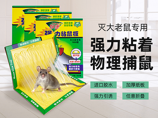 老鼠贴