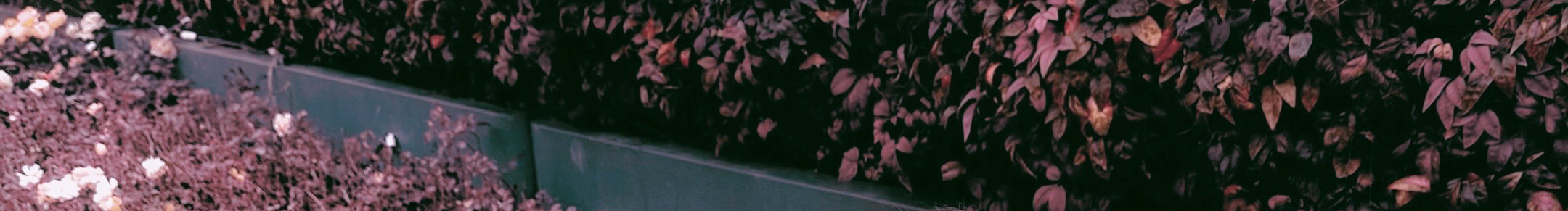 李斯然的個人主頁（封面預(yù)覽） - 主頁封面設(shè)置 - 站酷設(shè)計師李斯然原創(chuàng)素材 - 站酷ZCOOL