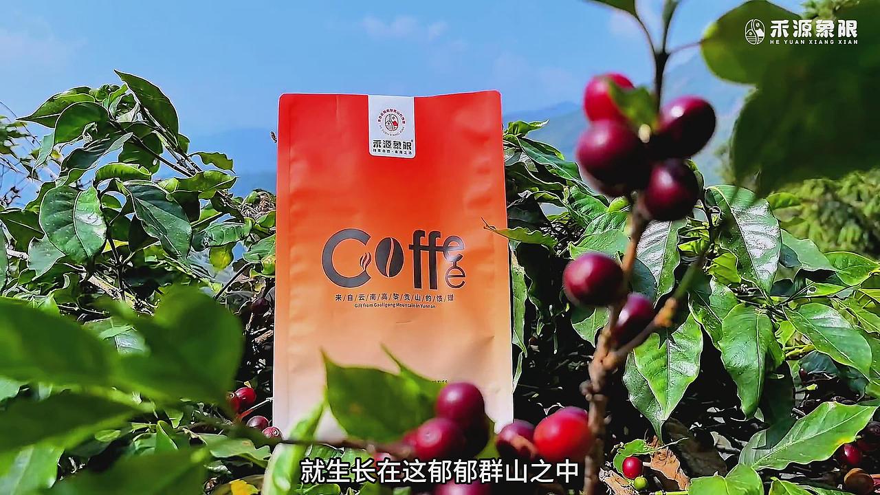 咖啡品牌宣传片（图ZNDA0NjI3MzYw） - 风光摄影 - 站酷设计师BATOLO原创素材 - 站酷ZCOOL