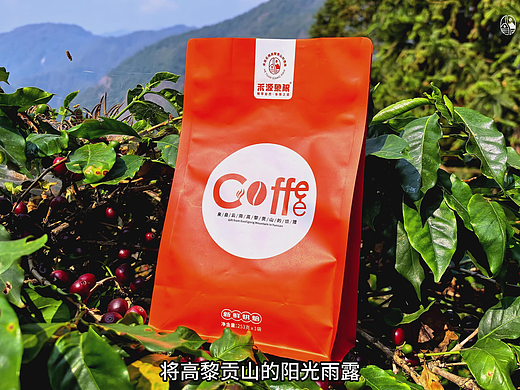 咖啡品牌宣传片