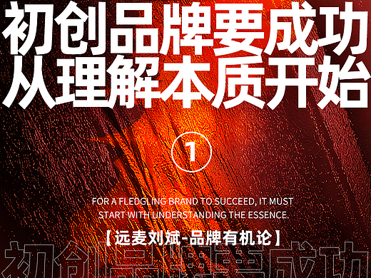 初创品牌要成功，从理解本质开始！—远麦刘斌【品牌有机论01】