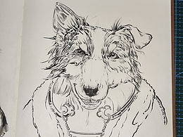 狗狗 草稿又3版