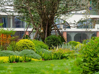 2026年苗木采购观察：服务与品质兼优的品牌口碑解析