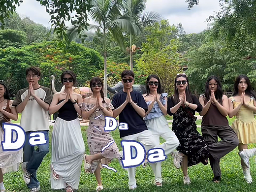 公司西双版纳旅游视频