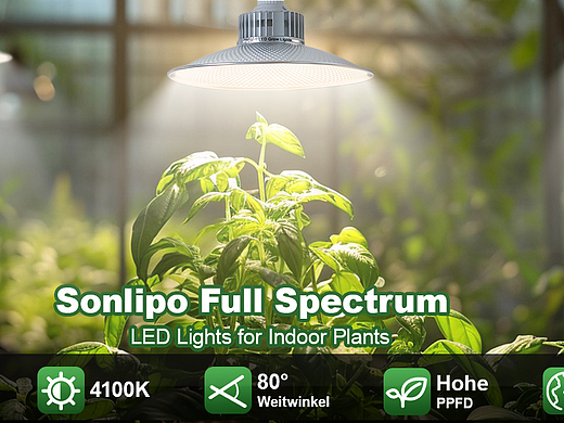 亚马逊植物灯杂选