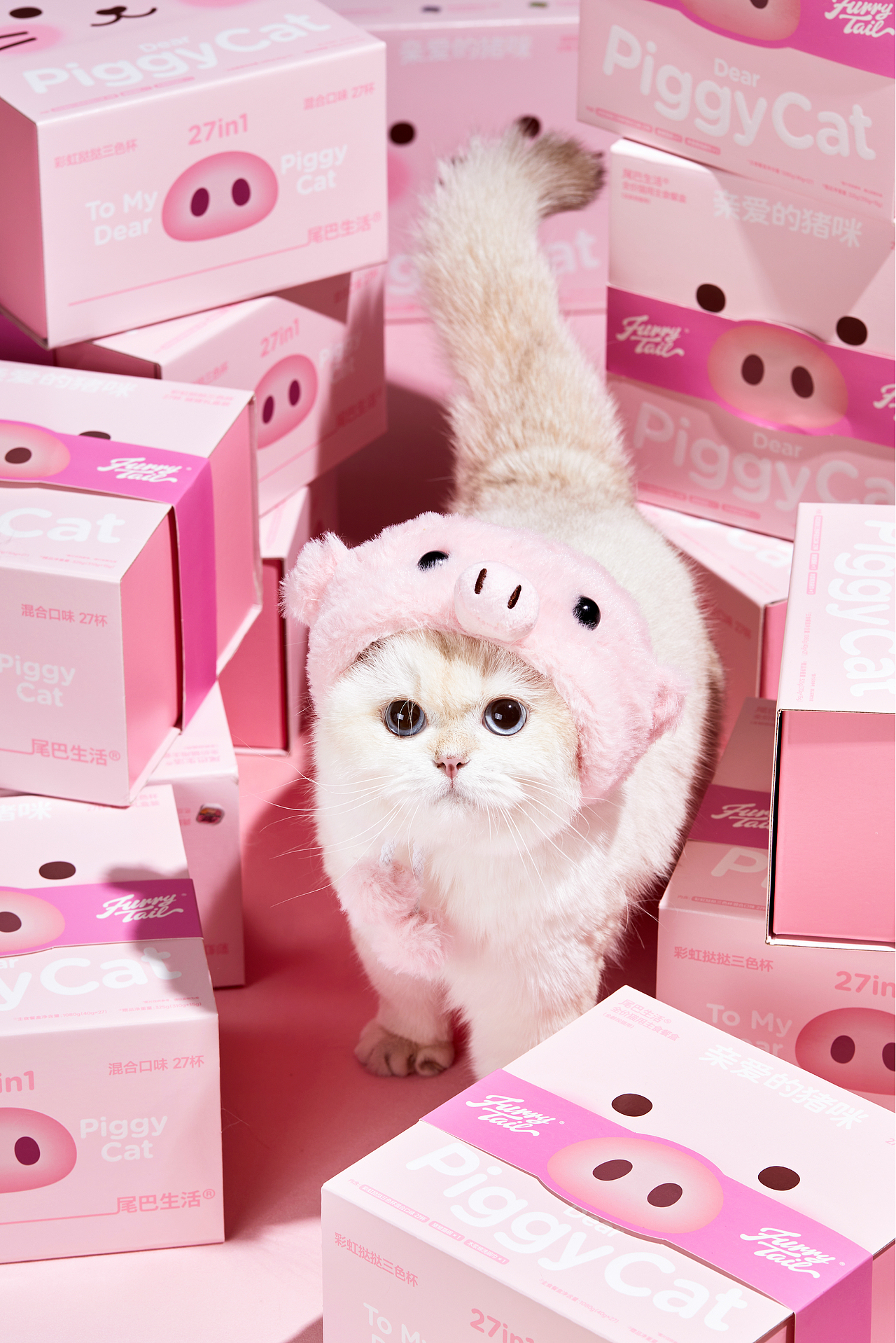 尾巴生活®猪猪礼盒｜包装设计 品牌 宠物 猫 主食（图ZNDA0NjY2MTc2） - 包装 - 站酷设计师DXD_studio原创素材 - 站酷ZCOOL