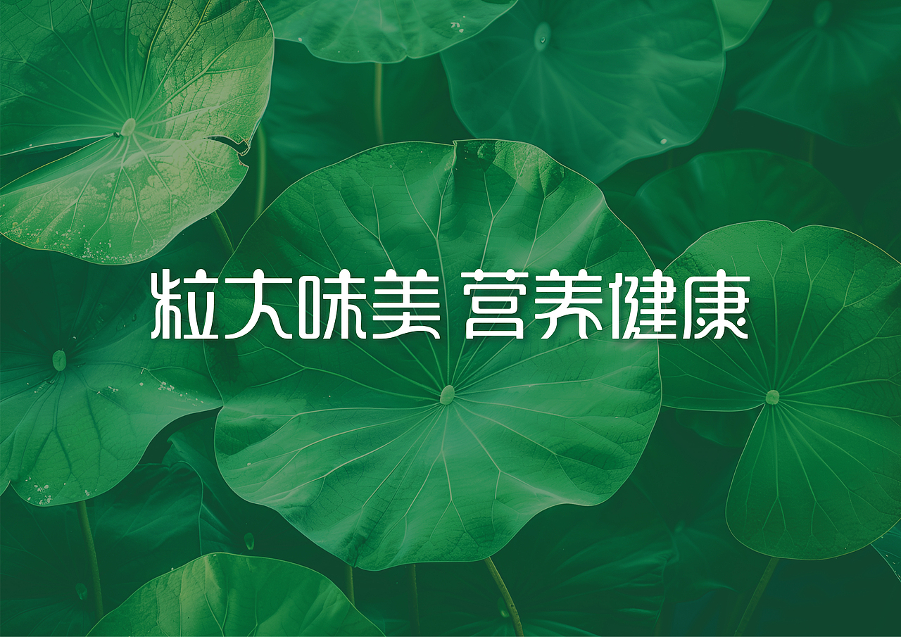 赣莲-品牌设计（图ZNDA0NjcxOTQ4） - 品牌 - 站酷设计师vamc疯子原创素材 - 站酷ZCOOL