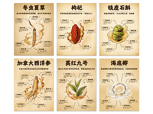 《风物本草・滋补图鉴》