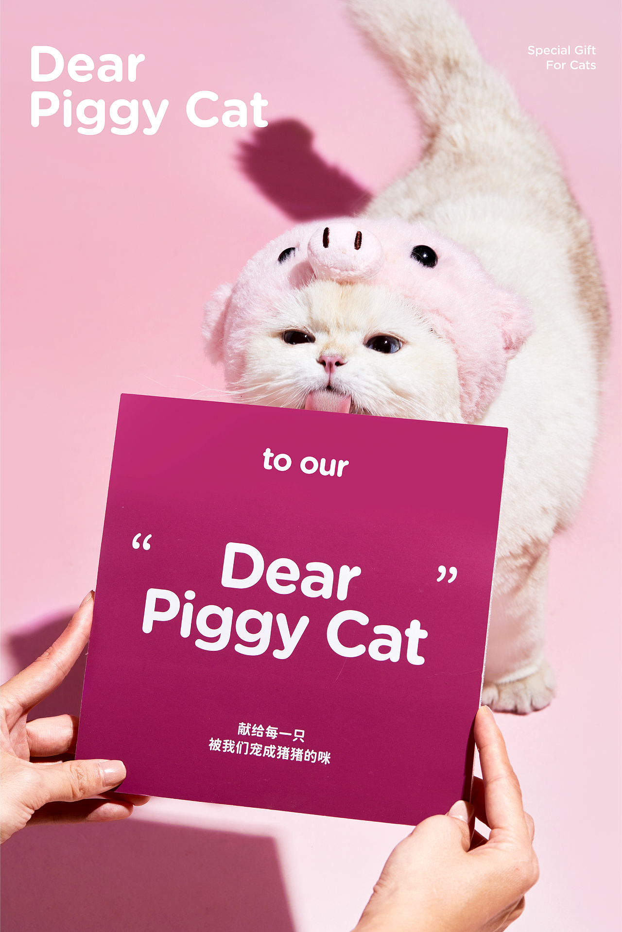 尾巴生活®猪猪礼盒｜包装设计 品牌 宠物 猫 主食（图ZNDA0Njc4MjA4） - 包装 - 站酷设计师DXD_studio原创素材 - 站酷ZCOOL
