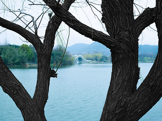 无色加有色 天然对称 框架构图