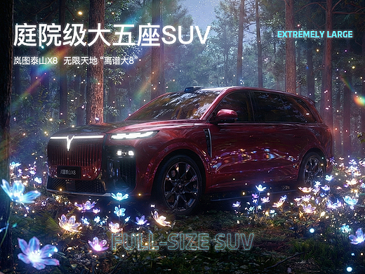 畅游无限天地·离谱的岚图大8