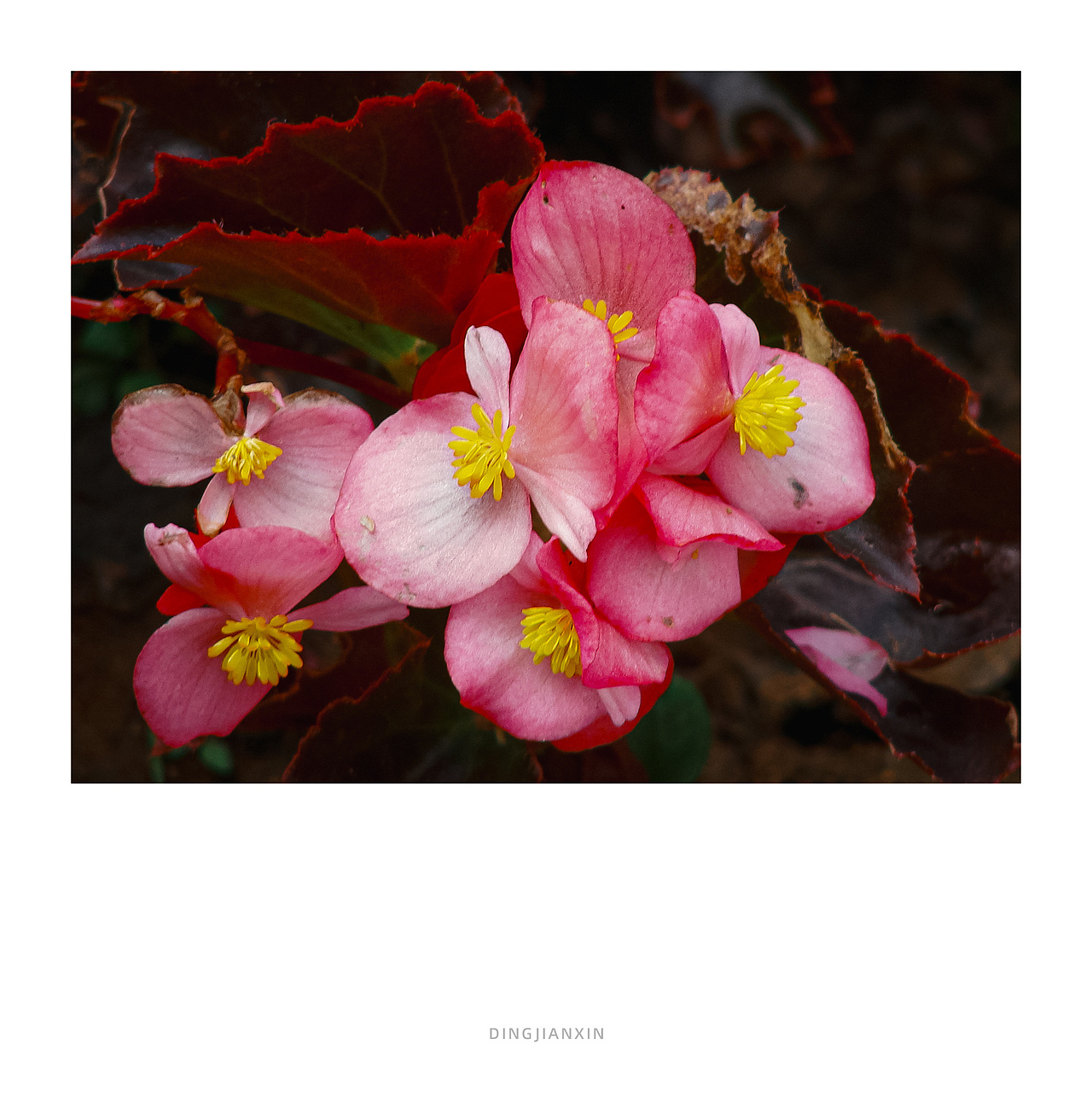 不完美的碎片~废片里的偶然美学（图ZNDA0NzIzNTY0） - 人文/纪实摄影 - 站酷设计师小丁叔叔原创素材 - 站酷ZCOOL