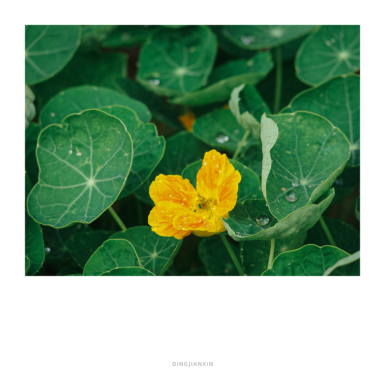 不完美的碎片~废片里的偶然美学（图ZNDA0NzIzNTc2） - 人文/纪实摄影 - 站酷设计师小丁叔叔原创素材 - 站酷ZCOOL