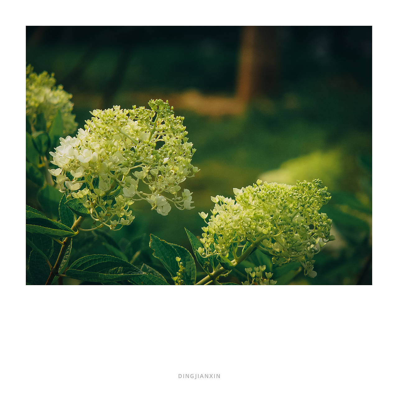 不完美的碎片~废片里的偶然美学（图ZNDA0NzIzNTY4） - 人文/纪实摄影 - 站酷设计师小丁叔叔原创素材 - 站酷ZCOOL