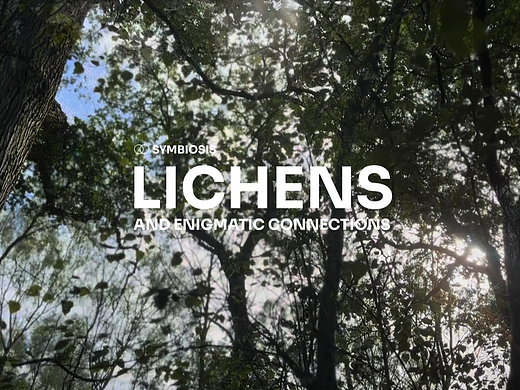 城市地衣项目纪录影像（个人主页-ZNzMzNzMzODQ=） - 人文/纪实摄影 - 站酷设计师马祎坤原创素材 - 站酷ZCOOL