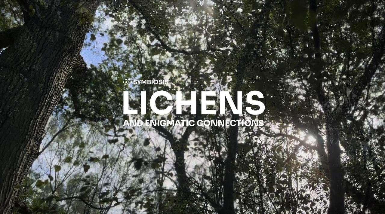 城市地衣项目纪录影像（图ZNDA0NzM0OTg0） - 人文/纪实摄影 - 站酷设计师马祎坤原创素材 - 站酷ZCOOL