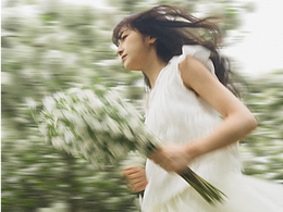 于无声处，悄然绽放