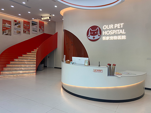 3月狗狗绝育，母狗绝育医生推荐信息大揭秘