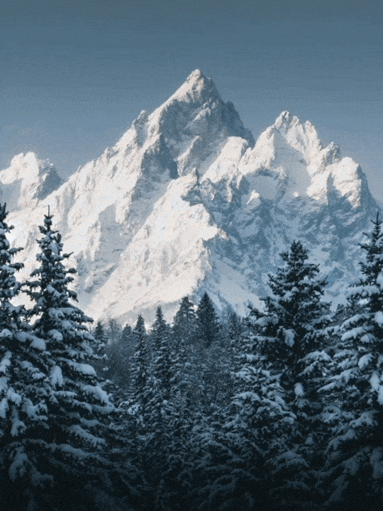 一瓶营养白酒的升级之路，如何接住东北的“泼天流量”（图ZNDA0NzQ0MDYw） - 包装 - 站酷设计师喜鹊战略原创素材 - 站酷ZCOOL