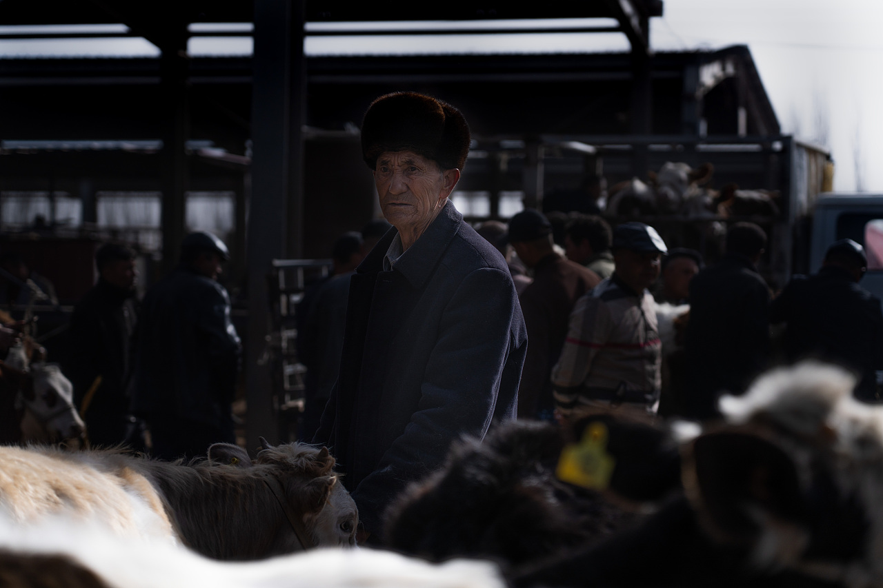 纪实喀什牛羊大巴扎（图ZNDA0NzQ4Mjc2） - 人文/纪实摄影 - 站酷设计师生生生生姜原创素材 - 站酷ZCOOL