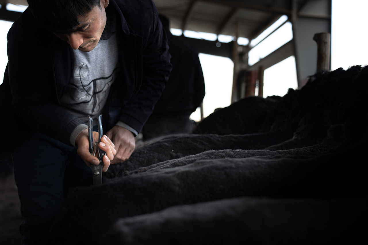 纪实喀什牛羊大巴扎（图ZNDA0NzQ4MjY4） - 人文/纪实摄影 - 站酷设计师生生生生姜原创素材 - 站酷ZCOOL
