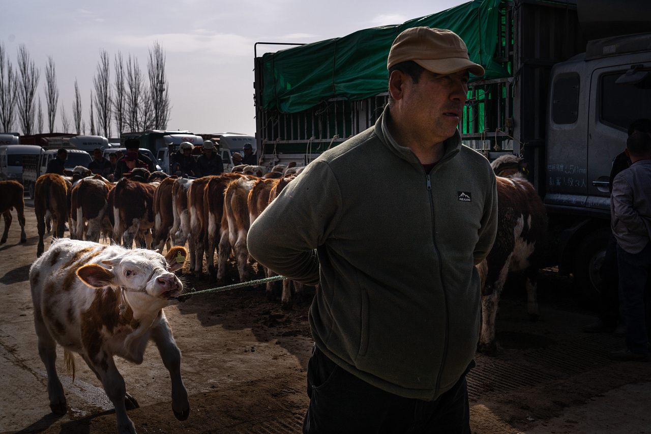 纪实喀什牛羊大巴扎（图ZNDA0NzQ4MjUy） - 人文/纪实摄影 - 站酷设计师生生生生姜原创素材 - 站酷ZCOOL