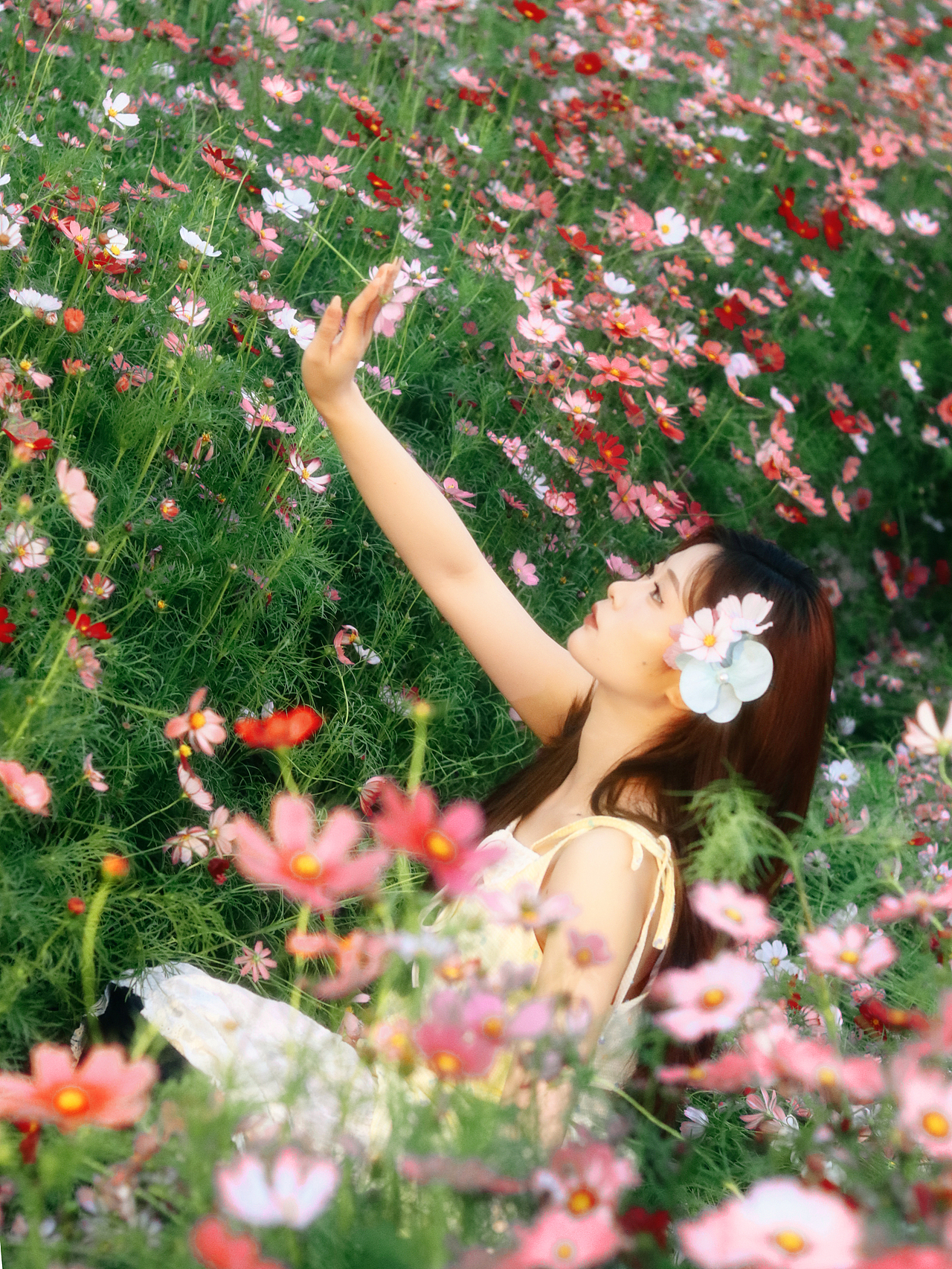 晚风・日落（图ZNDA0NzU5Mjg0） - 人像摄影 - 站酷设计师Arca婷原创素材 - 站酷ZCOOL