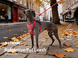 《宠物用品电商设计， AI 场景视觉分享》