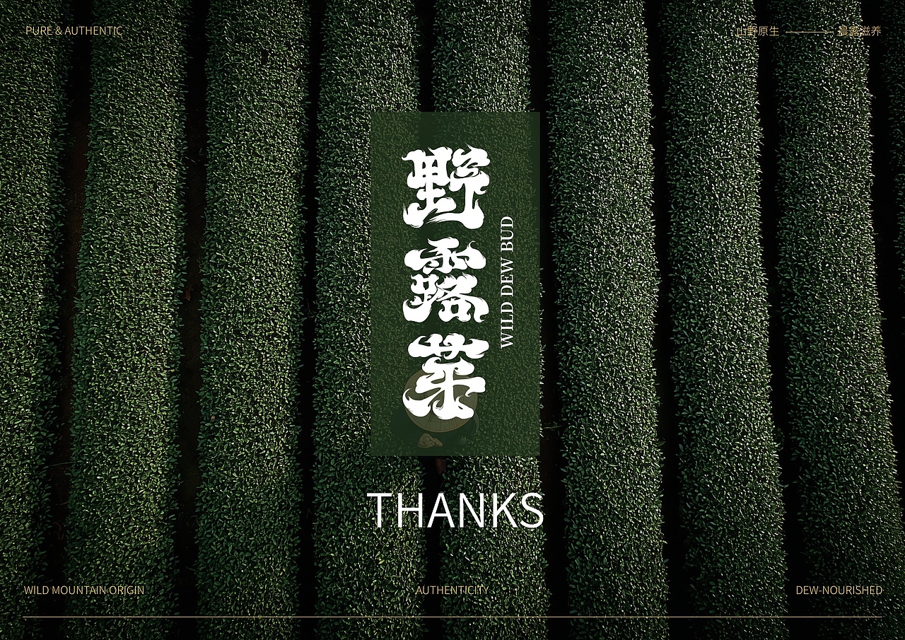 野露芽 | 高端茶叶品牌 | 视觉识别系统（图ZNDA0NzY1MzYw） - 品牌 - 站酷设计师Doria_企权权原创素材 - 站酷ZCOOL