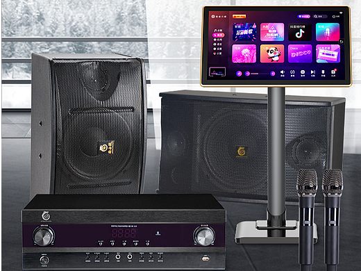 爵士龙JSL卡包音箱KTV音响套装