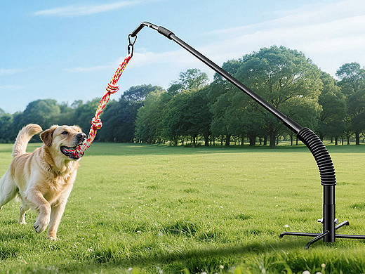 宠物户外玩具杆主图A+