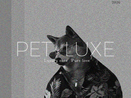 【高端宠物店全案设计落地｜Pet Luxe】 