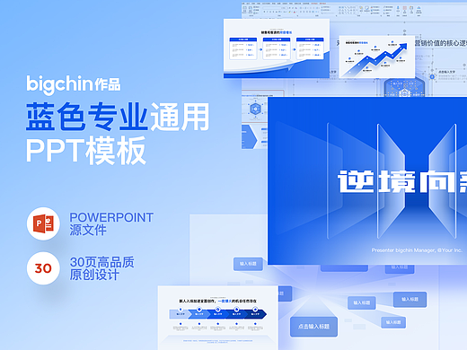 ppt模板蓝色专业高品质商务简约大气数据可视化白皮书