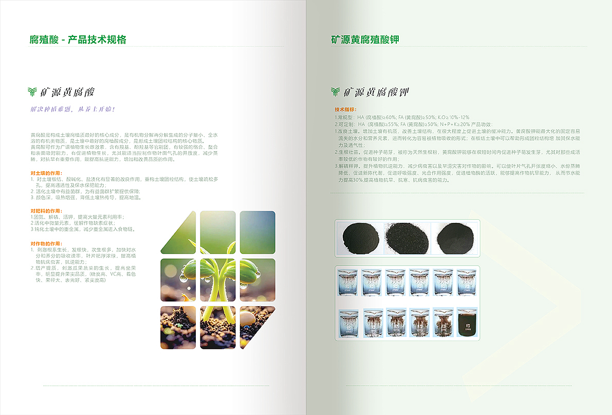 山西新华晟生物科技(中英文)（图ZNDA0Nzk1NTgw） - 书籍/画册 - 站酷设计师设计收姒人原创素材 - 站酷ZCOOL