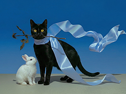 原创AIMV - SOFT THINGS DON'T STAY 