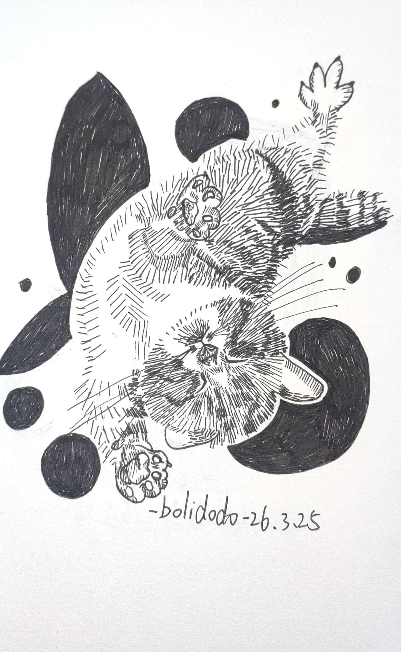 治愈系宠物手绘｜把毛孩子的可爱都画进线条里（图ZNDA0ODAxMzg4） - 艺术插画 - 站酷设计师啵梨多多原创素材 - 站酷ZCOOL