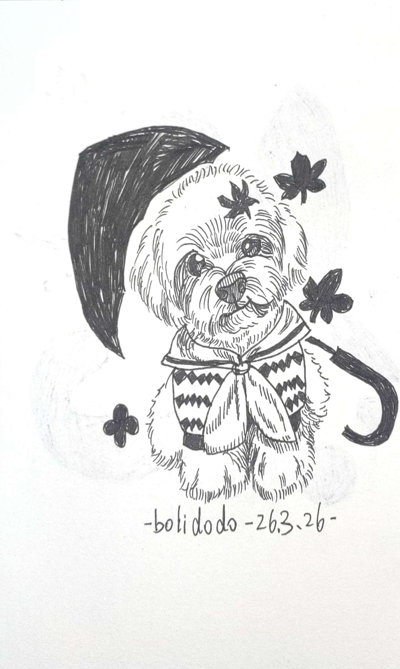 治愈系宠物手绘｜把毛孩子的可爱都画进线条里（图ZNDA0ODAxMzgw） - 艺术插画 - 站酷设计师啵梨多多原创素材 - 站酷ZCOOL