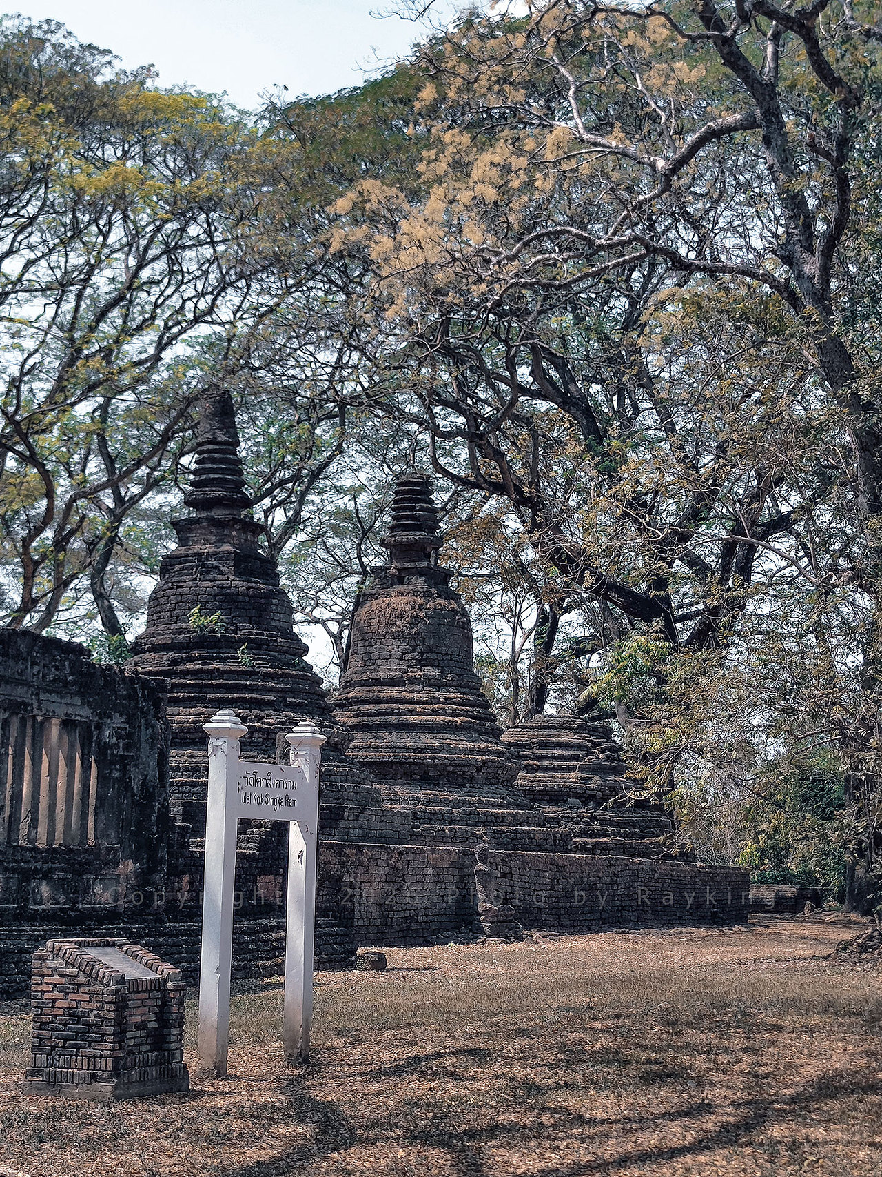 丛林古迹探秘，西萨查那莱太野了!（图ZNDA0ODAzODYw） - 环境/建筑摄影 - 站酷设计师金钻子原创素材 - 站酷ZCOOL