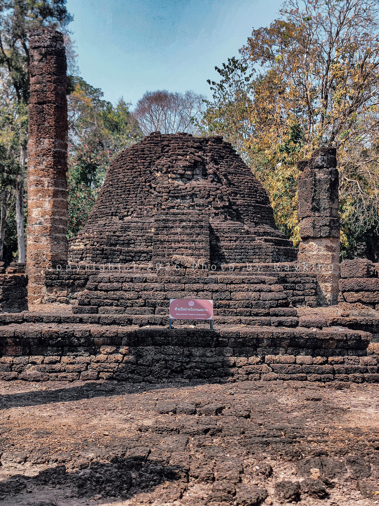 丛林古迹探秘，西萨查那莱太野了!（图ZNDA0ODAzODg0） - 环境/建筑摄影 - 站酷设计师金钻子原创素材 - 站酷ZCOOL