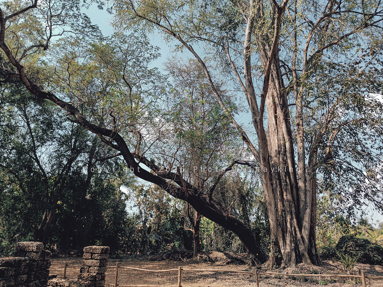 丛林古迹探秘，西萨查那莱太野了!（图ZNDA0ODA0MTI4） - 环境/建筑摄影 - 站酷设计师金钻子原创素材 - 站酷ZCOOL