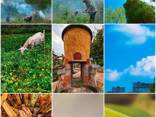 北碚大磨滩湿地公园 | 山野烟火间的柔软诗篇