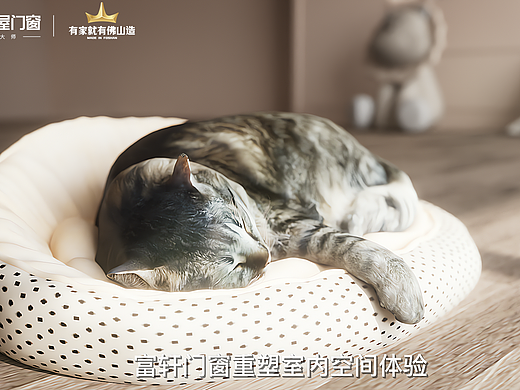 六軌推拉窗（個人主頁-ZNzMzODE2NDg=） - 產(chǎn)品 - 站酷設(shè)計師夢幻白夜1原創(chuàng)素材 - 站酷ZCOOL