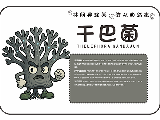 云南野生菌IP形象系列设计